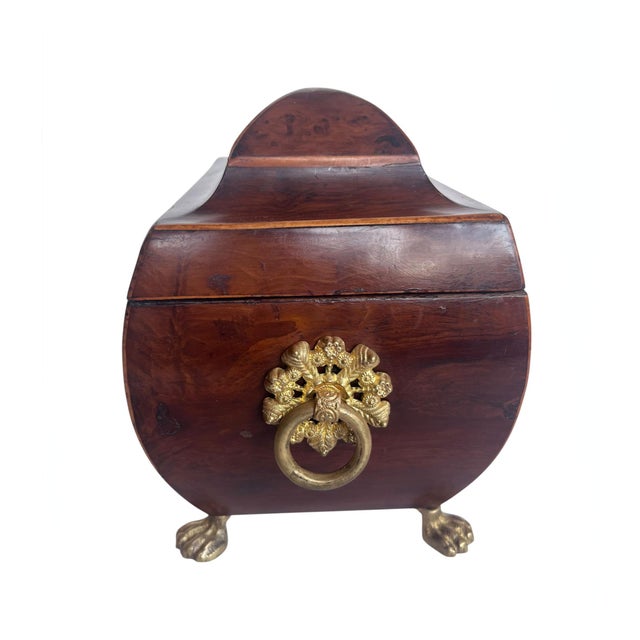 Early 19th Century English Burr Yew Tea Caddy For Sale - Image 5 of 6