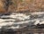 Canyon River by Sandra Pratt | Oil on Panel Landscape of a flowing river in a canyon setting For Sale