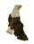 2000 - 2009 Limited Edition 00493/1500 Bald Eagle from Steiff, 2003 For Sale - Image 5 of 13