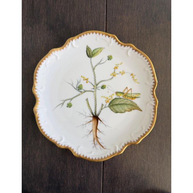 White Set of 8 Hand-Painted Anna Weatherley Bread & Butter Plates 6" From Treasure Garden, Morning Glory, Green Leaf or Old Master Tulips Collection For Sale - Image 8 of 11