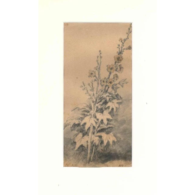 Watercolour. Hand-Numbered ''312'' lower-right on margin. In very good condition except a little stain on the high left...