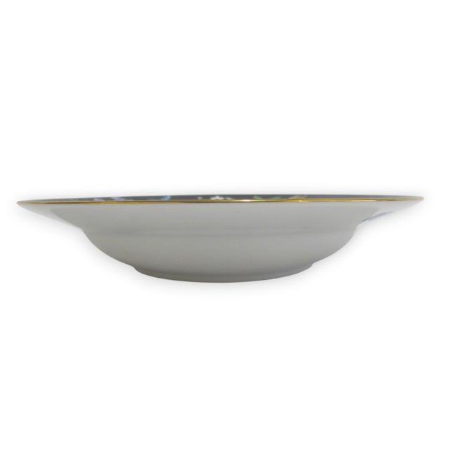 Gold Lynn Chase 1988 Safari Jaguar Jungle Cat 24k Gold Detail 9 1/4" Rimmed Soup Bowl For Sale - Image 8 of 11