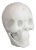 20th Century Marble Decorative Ornamental Skull For Sale