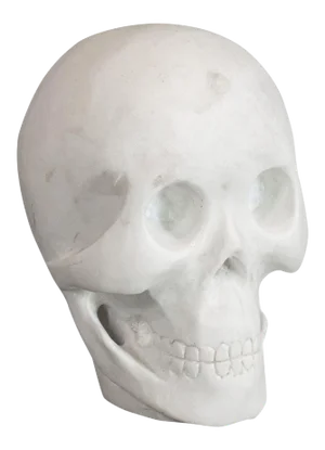 20th Century Marble Decorative Ornamental Skull