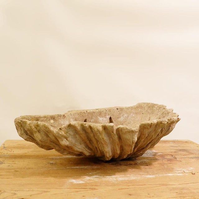 Antique Concrete Shell Bird Bath For Sale - Image 14 of 14