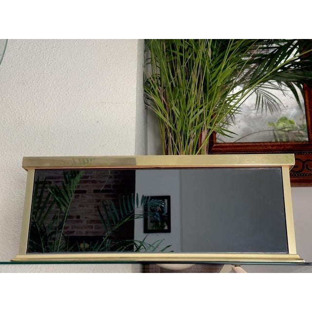 Maison Jansen Smoked Glass Garden Jardinere by Jean-Henri Jansen for Maison Jansen, 1970 For Sale - Image 4 of 9