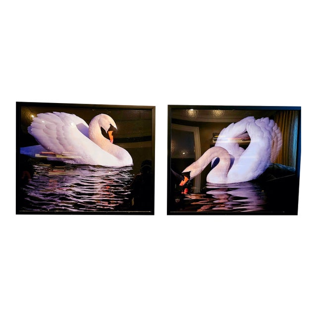 Magnificent Swans, a Pair For Sale