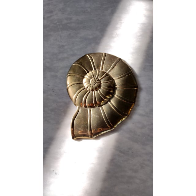 Metal Vintage Brass Nautilus Sea Shell Wall Hanging For Sale - Image 7 of 8