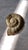 Metal Vintage Brass Nautilus Sea Shell Wall Hanging For Sale - Image 7 of 8