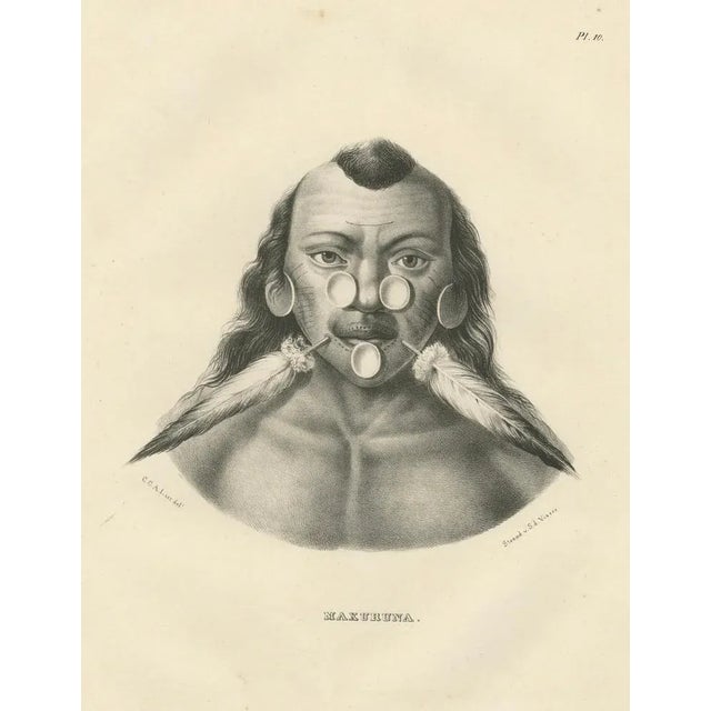 Mid 19th Century Karl Joseph Brodtmann, Member of the Maxuruna Amazon Tribe, 1836, Paper For Sale - Image 5 of 7