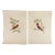 Vintage French Mid Century Bird Prints - a Pair For Sale