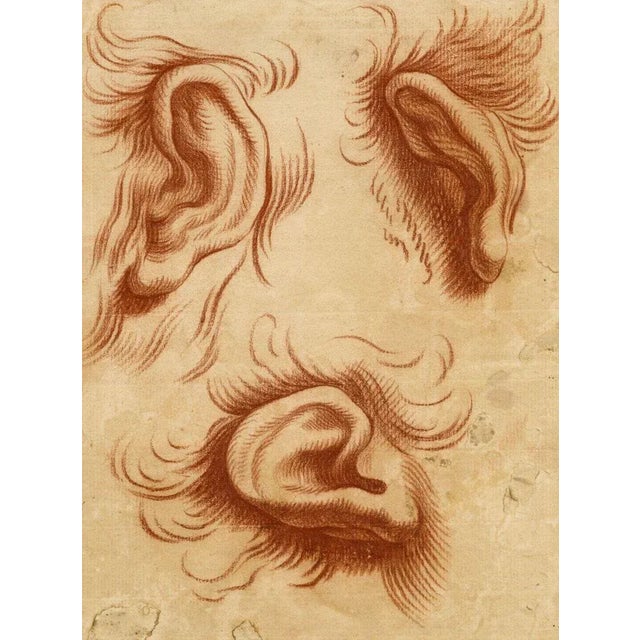After Charles Le Brun, Physiognomy Study of Ears, 18th Century Chalk Drawing For Sale - Image 4 of 4