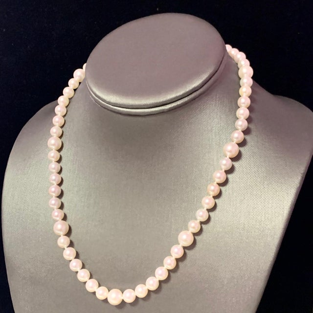 White Akoya Pearl Necklace 14k Gold Certified For Sale - Image 8 of 14
