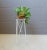 Mid-Century Modern Mid-Century Plant Stand in Iron and Wood For Sale - Image 3 of 11