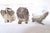 Transparent 1990s Arthur Court - Three Rare Discontinued Safari Series With Feet - The Alligator, the Lion, the Elephant - 3 pcs For Sale - Image 8 of 9