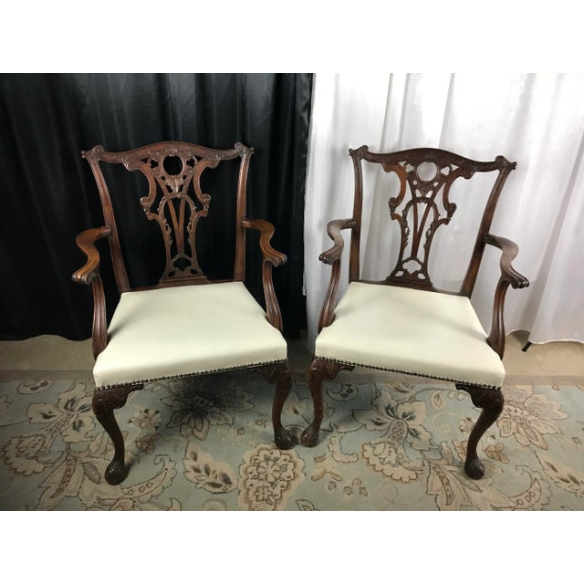 Elevate your dining space with this exquisite set of six Chippendale style dining chairs, meticulously crafted with ornate...
