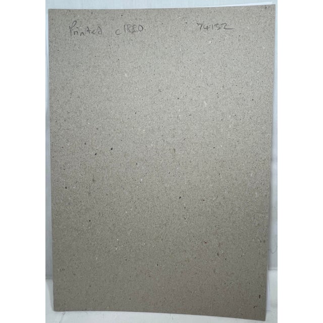 Antique Hand Tinted Bird Print From England Featuring a Pair of Red-Backed Shrikes - Circa 1880 For Sale - Image 12 of 12