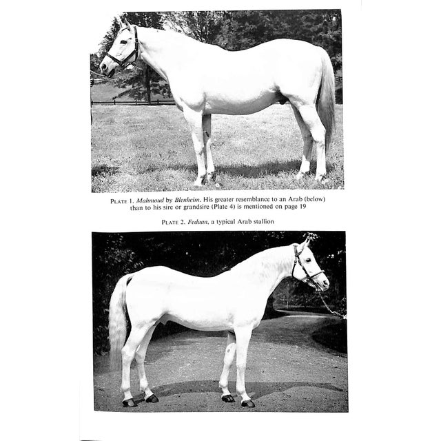 1950s "Bloodstock Breeding" 1958 Leicester, Sir Charles For Sale - Image 5 of 6