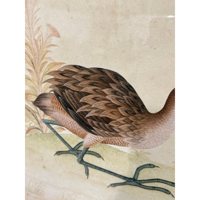 Black Fine Quality Chinese School Watercolor of a Marsh Bird, Circa 1800 For Sale - Image 8 of 10