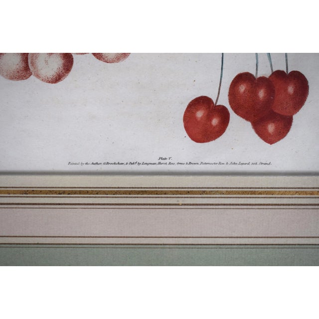 Mid 19th Century George Brookshaw, Cherry Cluster, Pl V, Framed For Sale - Image 4 of 4