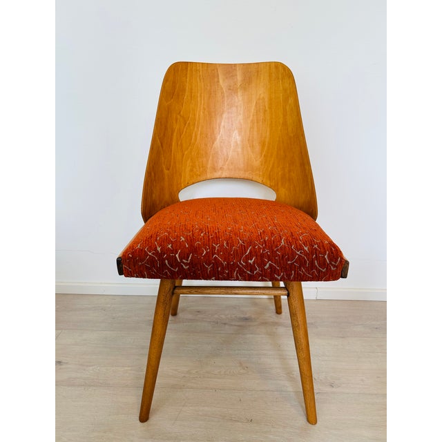 Mid-Century Modern Dining Chair by Radomír Hofman for Ton, 1950s For Sale - Image 13 of 13
