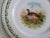 1940s Austria Hub Porcelain Plate With Pheasant For Sale - Image 4 of 6