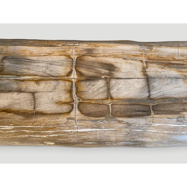 Andrianna Shamaris Rare Petrified Wood Log Bench For Sale - Image 9 of 18