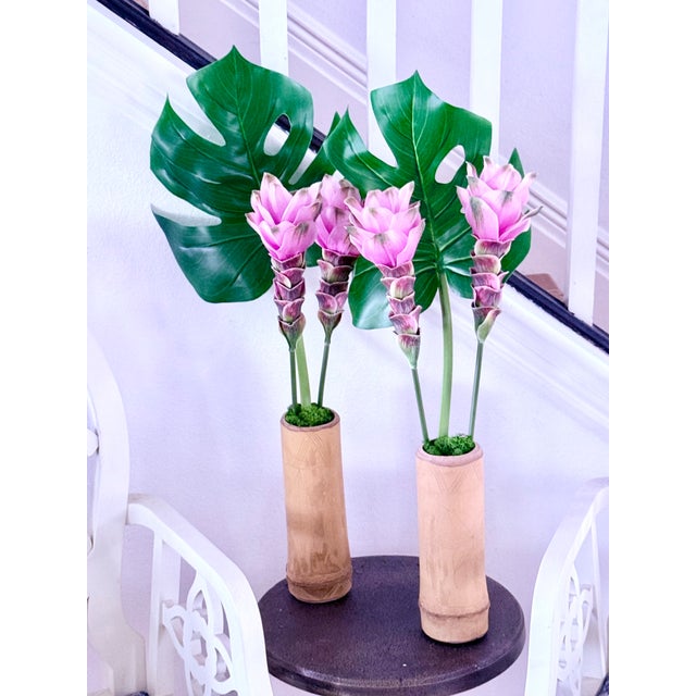 Coastal Siam Tulip in Bamboo For Sale - Image 3 of 5