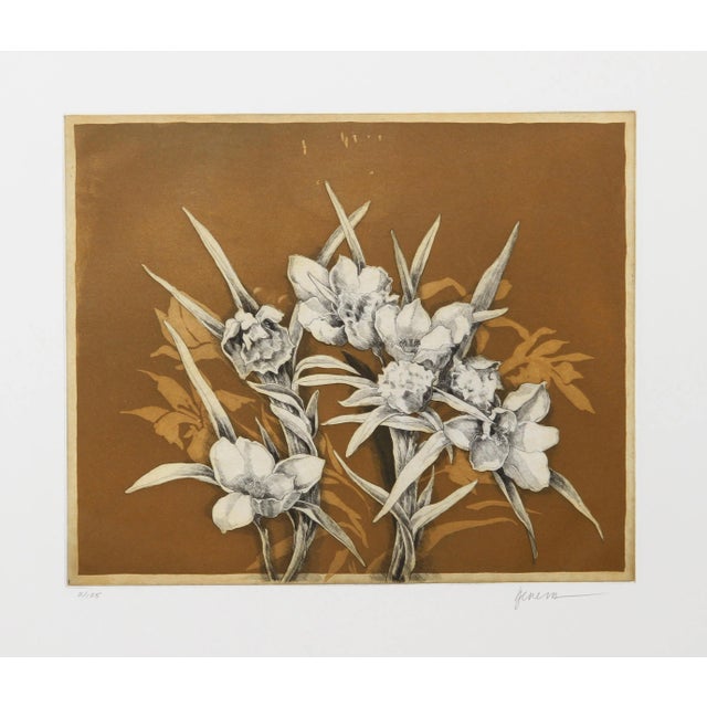 Miguel Herrera, Flowers on Ochre, Etching With Aquatint For Sale