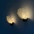 Coquille Wall Lights in Brass and Glass from Asea, Sweden, 1940s, Set of 2 For Sale - Image 6 of 18