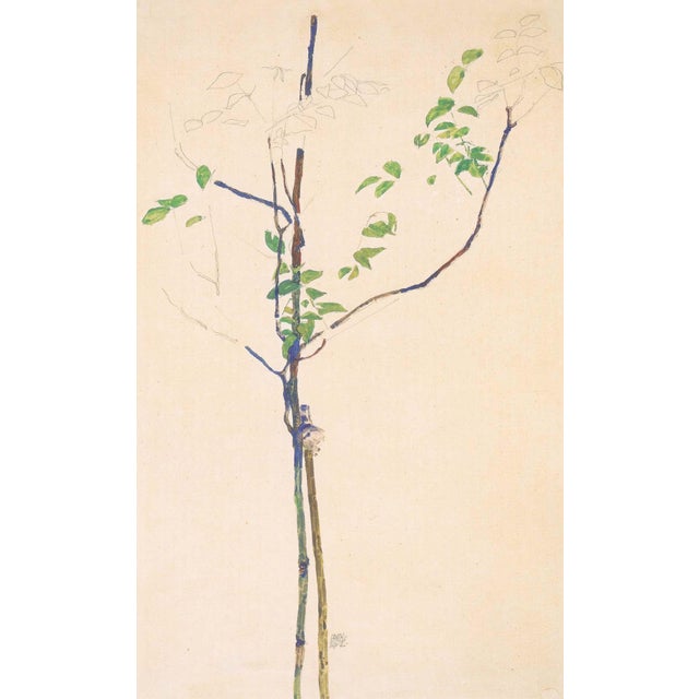 Artist:Egon Schiele Country:Austria Title:Young Tree Medium:Lithograph – 28 Marks:Signed in plate Printed:1968 by Max...