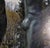 Cranbrook Amye Charfoos Orpheus Fountain by Carl Milles Color Photograph Signed For Sale - Image 11 of 11