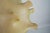 Plastic Taraxacum Cocoon Suspension Lamp from Flos, 1960s For Sale - Image 7 of 18