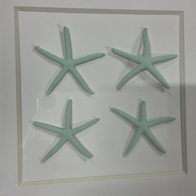 Mint 1980s Vintage Coastal Chic Framed Sea Urchin and Mint Starfish Shadow Boxes - A Pair. For Sale - Image 8 of 11
