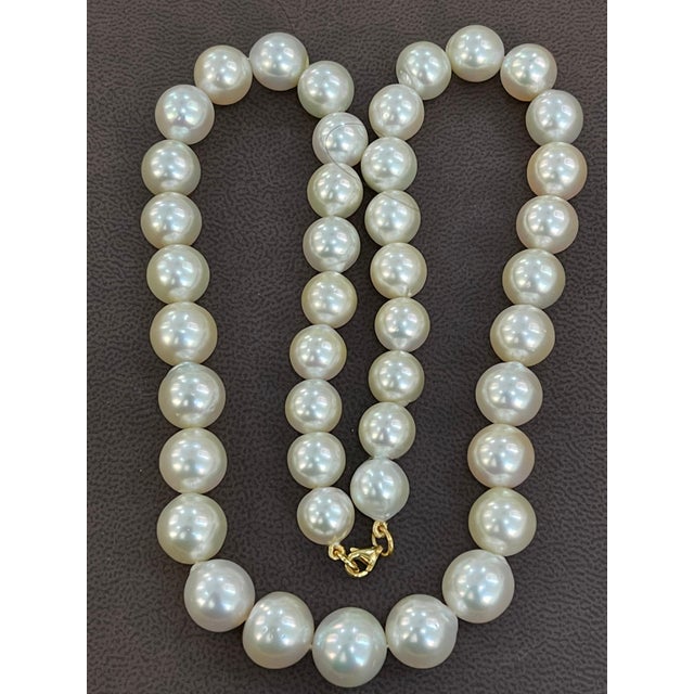 Graduating Cream Color South Sea Pearls Necklace 14 Karat Yellow Gold Clasp For Sale - Image 13 of 18