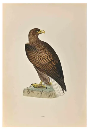 Alexander Francis Lydon, Erne, Woodcut Print, 1870