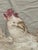 Antique French Tapestry with Rooster and Flowers from Aubusson, 1900 For Sale - Image 10 of 18