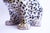 Ceramic Large Italian Glazed Majolica Leopard Cub, 1950s For Sale - Image 7 of 14