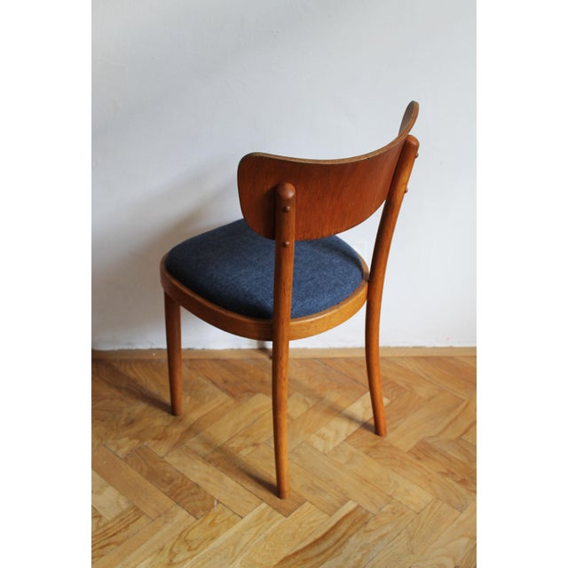 Czech Beech Dining Chair by Up Rousínov from Up Závody, 1960s For Sale - Image 10 of 17