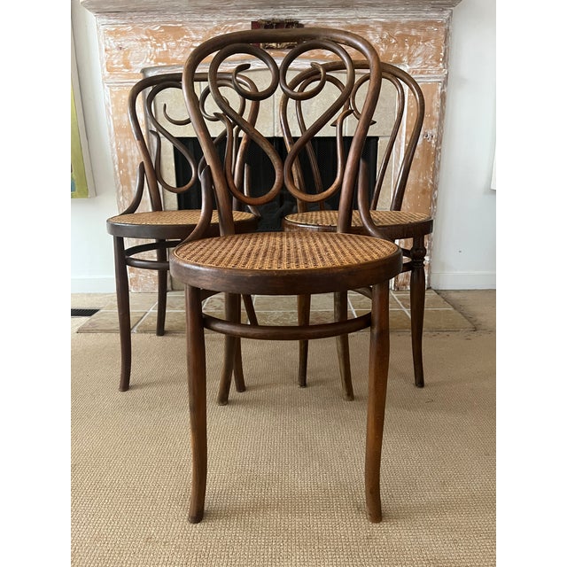 1920s Antique Bentwood Dining Chairs, Set/3 For Sale - Image 5 of 14