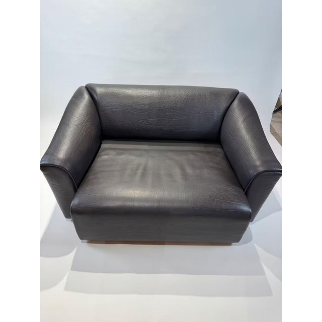 DS-47 2-Seater Sofa in Dark Brown Neck Leather from de Sede, 1970s For Sale - Image 10 of 10
