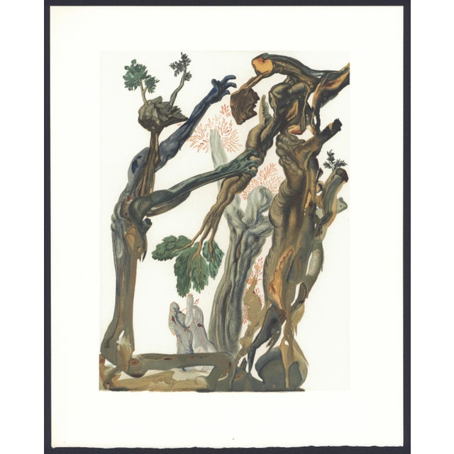 1963 Dalí Divine Comedy Engraving Enfer Chant 13 La Forêt Des Suicidés (The Forest of Suicides) For Sale