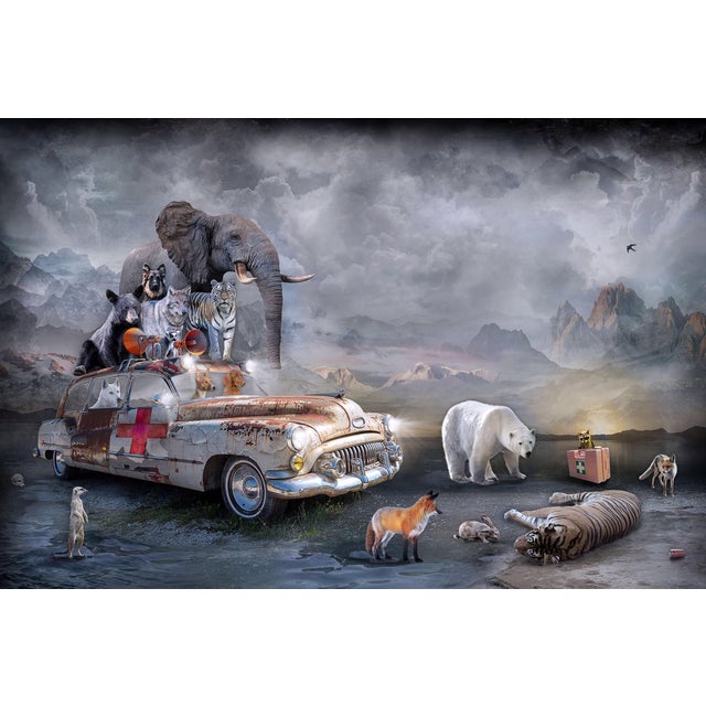 To the Rescue II by Marcin Owczarek | Photography - Dye Sublimation on Aluminum animals around a vintage car For Sale