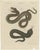 Bertuch, Two Snakes with Open Jaws, 1805, Print For Sale - Image 3 of 12