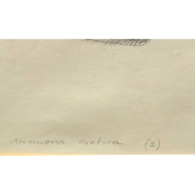 1970s "Memoria Erotica" Abstract Lithograph, Signed, 20th Century, Unframed by Nicholas Pogany For Sale - Image 5 of 7