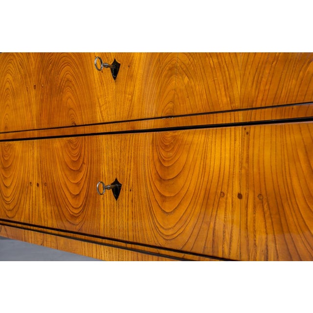 Austrian Biedermeier Chest of Drawers in Elm Veneer, 1800s For Sale - Image 14 of 15
