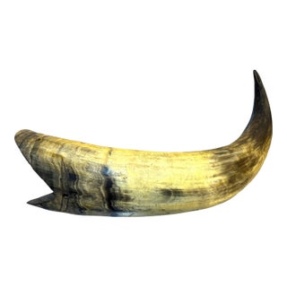 Carved Horn Fish Sculpture For Sale