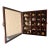 Seashell Collection in Glass-Front Display Case For Sale