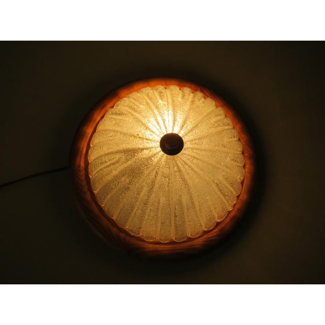 Mid-Century Wall Lamps or Ceiling Lamps from Massive Belgium, 1960, Set of 2 For Sale - Image 4 of 15