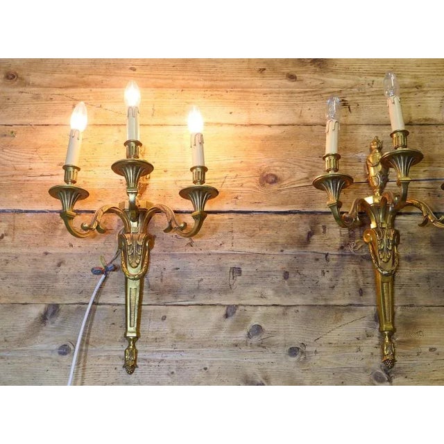 1900 - 1909 Large French Neoclassical Brass Wall Lights, 1900s, Set of 2 For Sale - Image 5 of 7